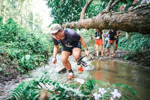 BIB: 
                            <button type="button" onclick="openModal(25517893)" class="btn btn-primary btn-sm float-right btn-popup" data-toggle="modal" data-target=".modal-high-quality">
                        <i class="fas fa-shopping-cart"></i> Add to Cart
                    </button>
                                            <button type="button" onclick="isThisMe(25517893, true)" class="btn btn-success btn-sm float-right btn-popup btn-isme hidden" data-toggle="tooltip" data-placement="bottom" title="นี่คือรูปของคุณใช่ไหม คลิกที่นี่เพื่อเอาเข้าอัลบั้ม">
                        <i class="fas fa-plus"></i> Add to album
                    </button>
                    <button type="button" onclick="isThisMe(25517893, false)" class="btn btn-warning btn-sm float-right btn-popup btn-isnotme hidden">
                        <i class="fas fa-ban"></i> Remove from album
                    </button>